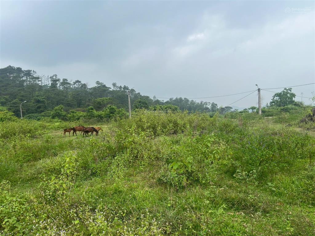 Bán lô đất 2522m2 cao thoáng đẹp giá hợp lý nhất yên bài, ba vì. giá nhỉnh chỉ hơn 5tr/m2