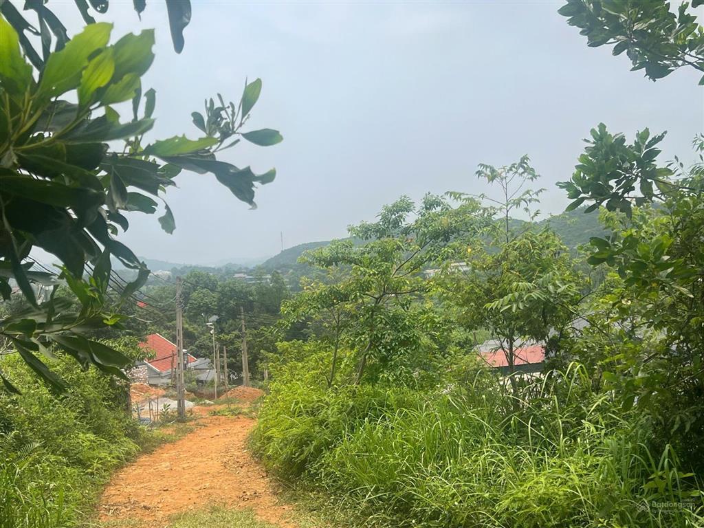 Bán lô đất 2522m2 cao thoáng đẹp giá hợp lý nhất yên bài, ba vì. giá nhỉnh chỉ hơn 5tr/m2