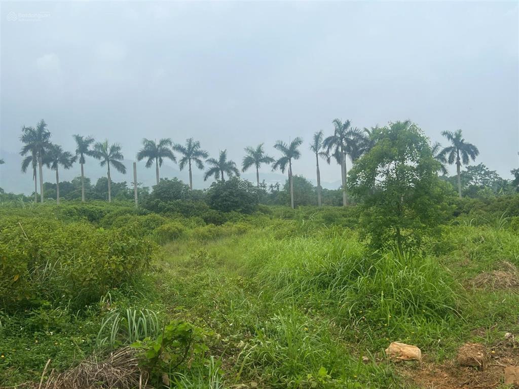 Bán lô đất 2522m2 cao thoáng đẹp giá hợp lý nhất yên bài, ba vì. giá nhỉnh chỉ hơn 5tr/m2