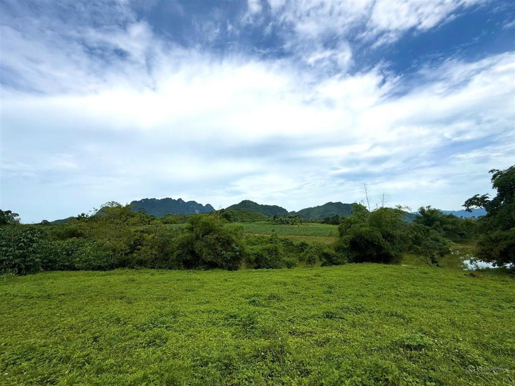 Siêu phẩm 2340m2 bình sơn, kim bôi, hòa bình giá bán chỉ 1,8tr/m2 đầu tư sinh lời cao
