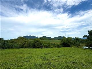 Siêu phẩm 2340m2 bình sơn, kim bôi, hòa bình giá bán chỉ 1,8tr/m2 đầu tư sinh lời cao