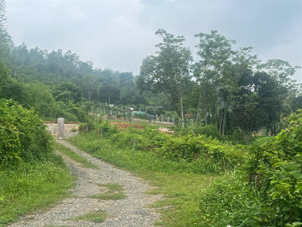 Đất dt 2337m2 kim bôi  hoà bình giá hơn 1 tỷ đất có ao, bám suối nhỏ