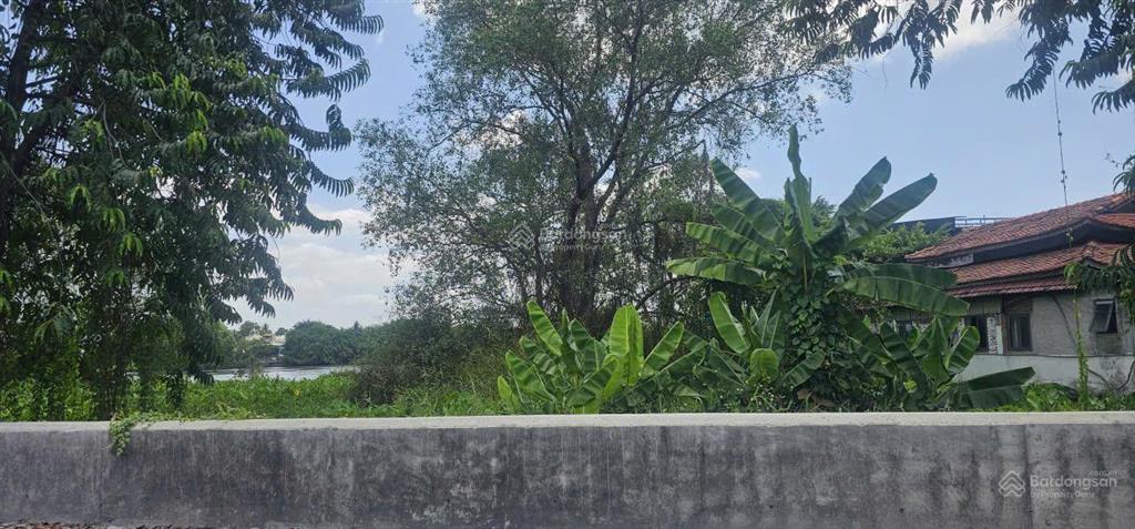 Bán đất mặt sông sài gòn, phường an phú đông, tphcm