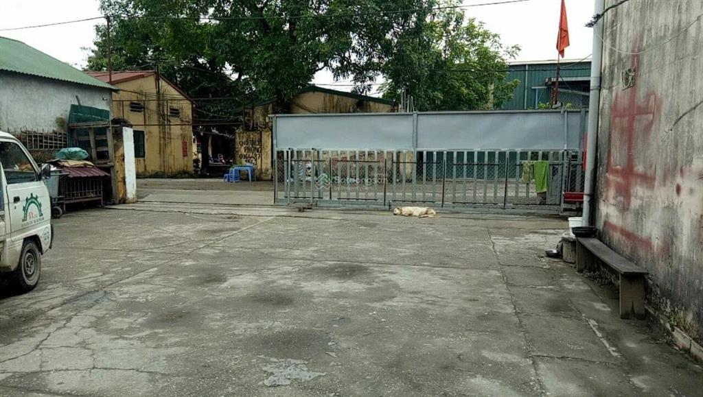 Chính chủ cho thuê kho 450m2, nhà mái bằng, đường lớn, an ninh 24/24, thời hạn thuê ổn định