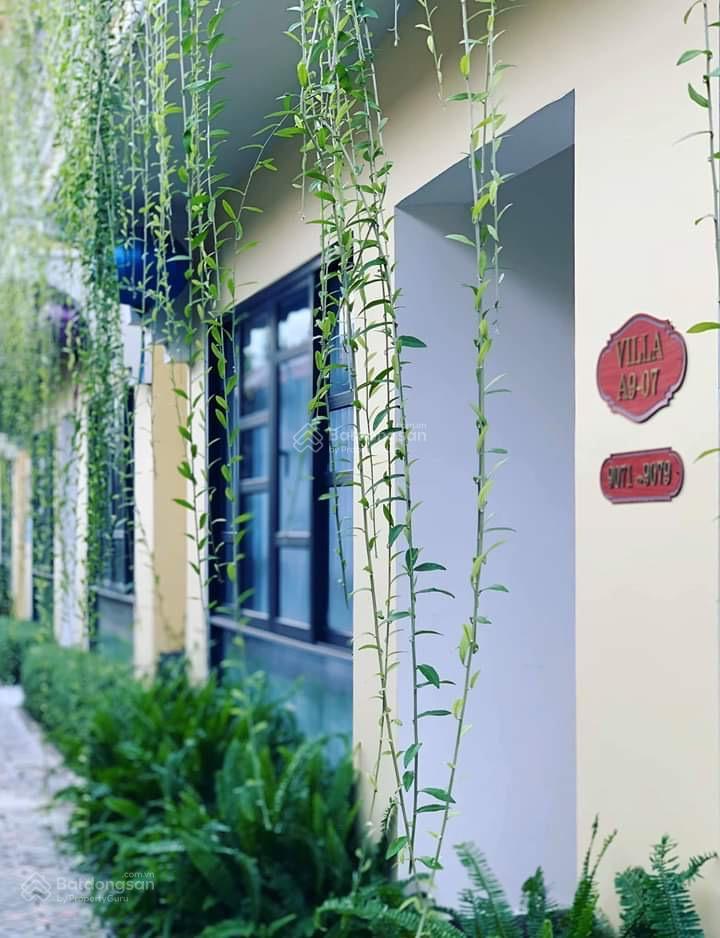 Chính chủ bán villa 8pn hội an  sổ đỏ vĩnh viễn  đang kinh doanh tốt  cách phố cổ 2km