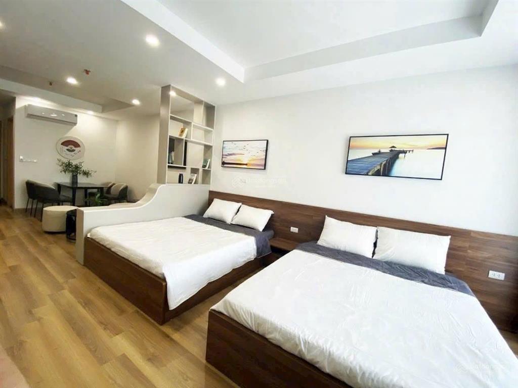 Cần bán căn hộ cao cấp tms quy nhơn. loại căn hộ 1 phòng ngủ diện tích 47m2. giá chỉ 1 tỉ 250 triệu