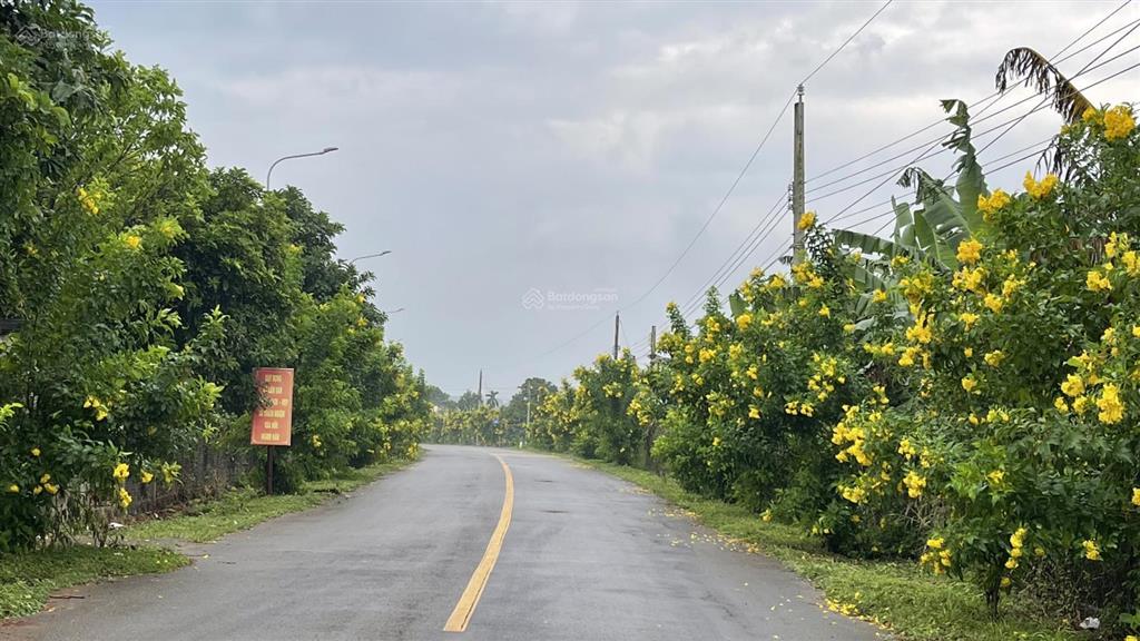 Đất vườn có thổ cư, xe hơi vào tận nơi, sát ubnd xã lâm san