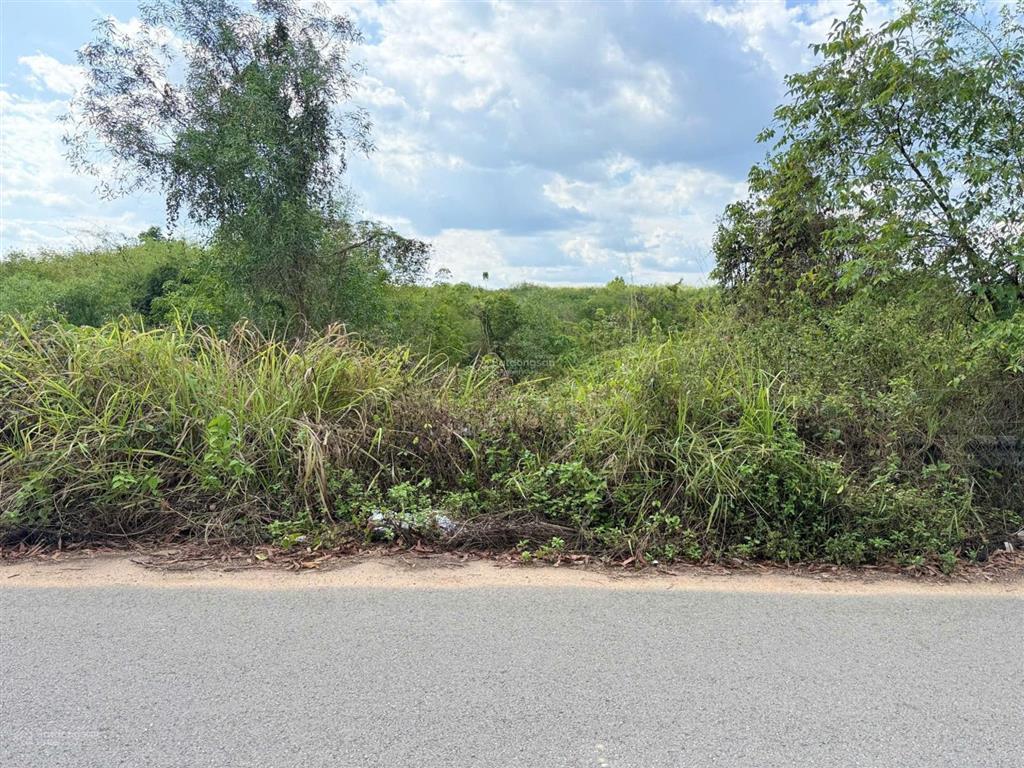 Bán lô đất sào hơn 1000 m, 100 thổ cư, vĩnh hòa, phú giáo, bình dương,mặt đường dh513, mặt tiền 30m