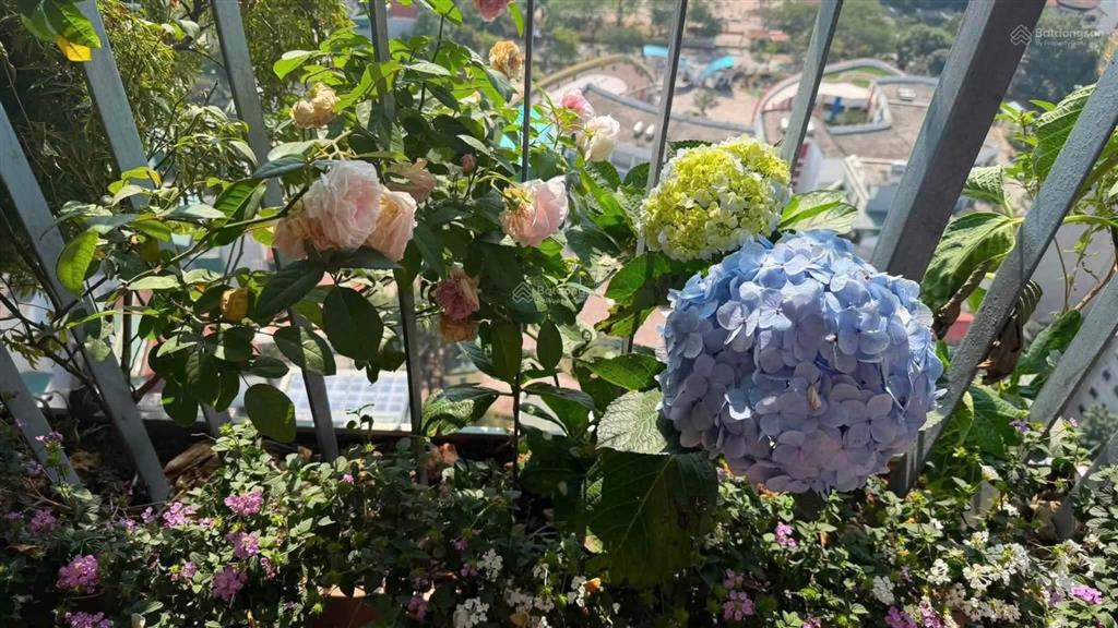 Bán căn góc 3 ngủ 107,2 m đẹp tòa b hateco view hồ công viên yên sở. 6 tỷ 9, thương lượng mạnh