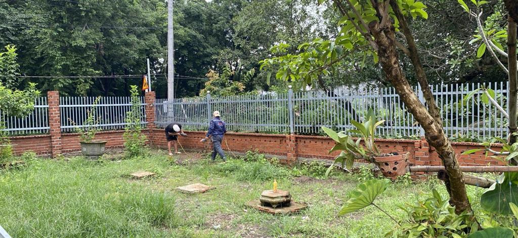 Bán 10.000m² đất mặt tiền 30m, quỹ đất lớn hiếm làm nghỉ dưỡng cực đẹp