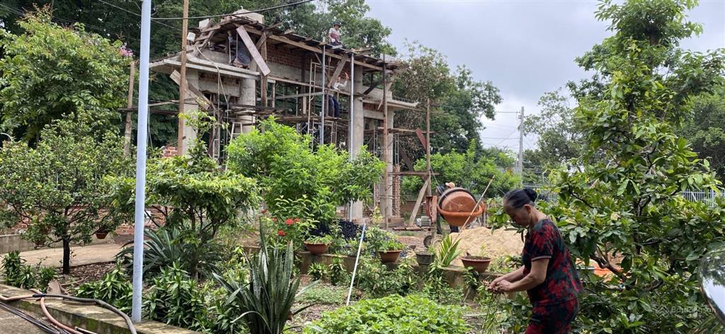 Bán 10.000m² đất mặt tiền 30m, quỹ đất lớn hiếm làm nghỉ dưỡng cực đẹp