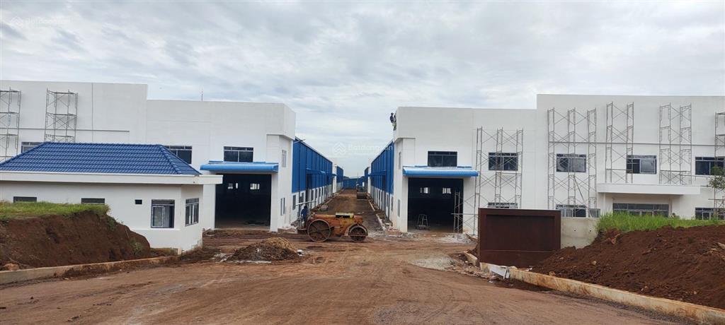 Cho thuê xưởng mới 100%, kcn an phước, diện tích 3000m2 và nhiều diện tích khác. giá ~115.000/m2