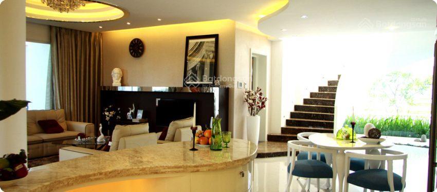 Penthouse the pegasus plaza hiếm tại biên hòa. view thành phố, mặt tiền võ thị sáu. sổ riêng