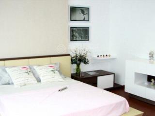 Penthouse the pegasus plaza hiếm tại biên hòa. view thành phố, mặt tiền võ thị sáu. sổ riêng