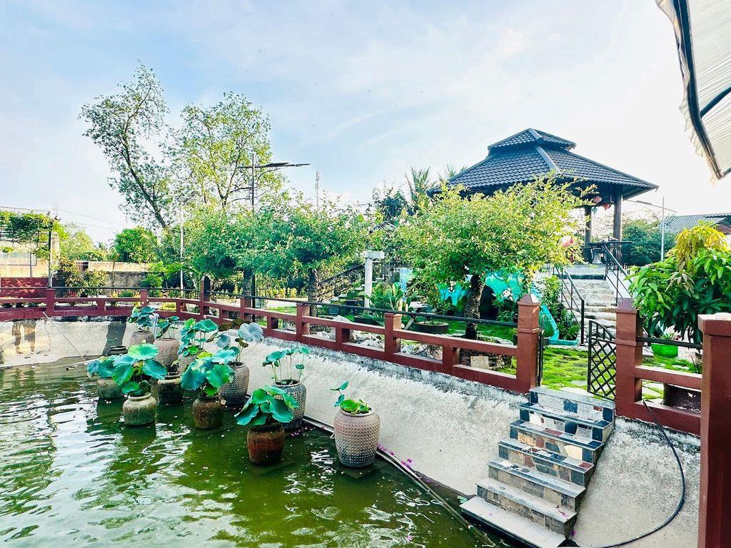 CHO THUÊ 5000M2 SÂN VƯỜN VIEW 2 CẦU CẦN THƠ NGẮM HOÀNG HÔN SIÊU ĐẸP