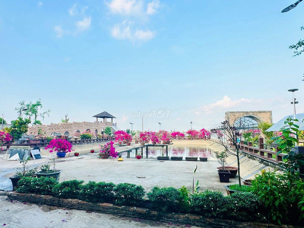CHO THUÊ 5000M2 SÂN VƯỜN VIEW 2 CẦU CẦN THƠ NGẮM HOÀNG HÔN SIÊU ĐẸP