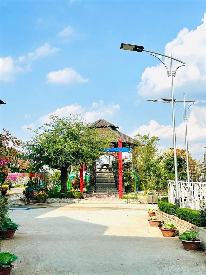 CHO THUÊ 5000M2 SÂN VƯỜN VIEW 2 CẦU CẦN THƠ NGẮM HOÀNG HÔN SIÊU ĐẸP