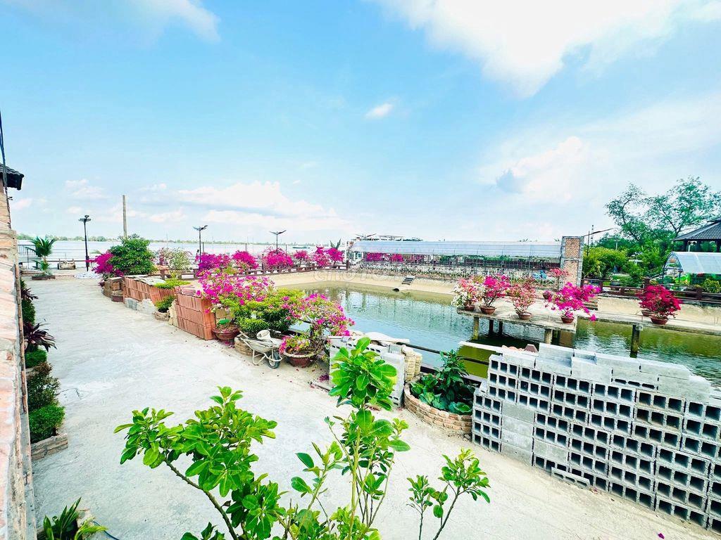CHO THUÊ 5000M2 SÂN VƯỜN VIEW 2 CẦU CẦN THƠ NGẮM HOÀNG HÔN SIÊU ĐẸP