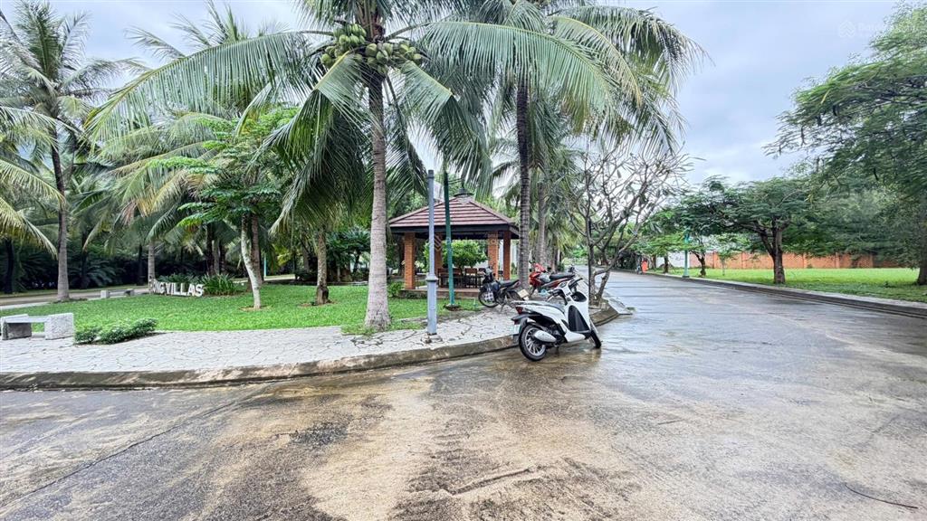 Kđt giáng hương giá hời