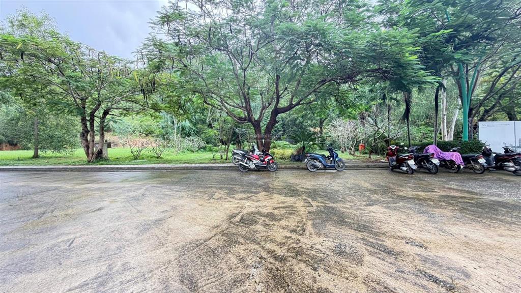 Kđt giáng hương giá hời