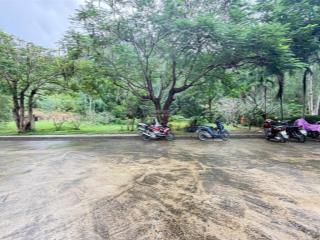 Kđt giáng hương giá hời