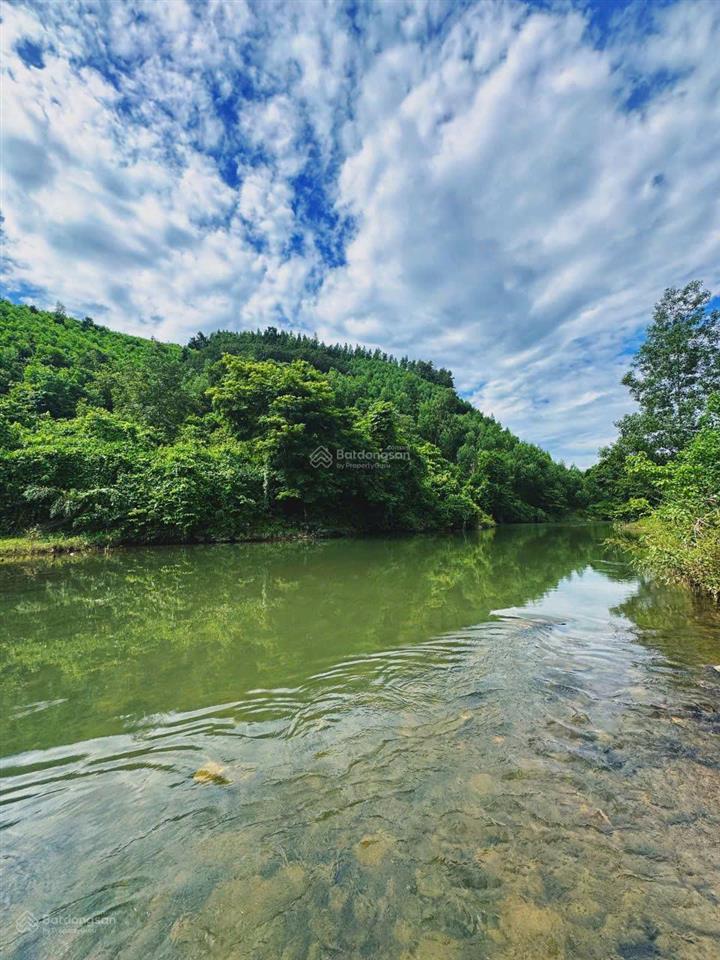 Cần bán gấp farmstay sinh thái