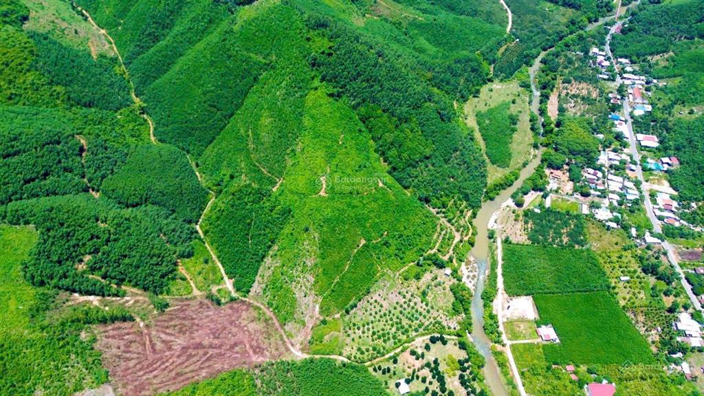 Cần bán gấp farmstay sinh thái