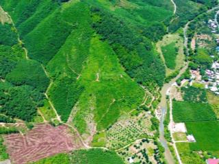 Cần bán gấp farmstay sinh thái