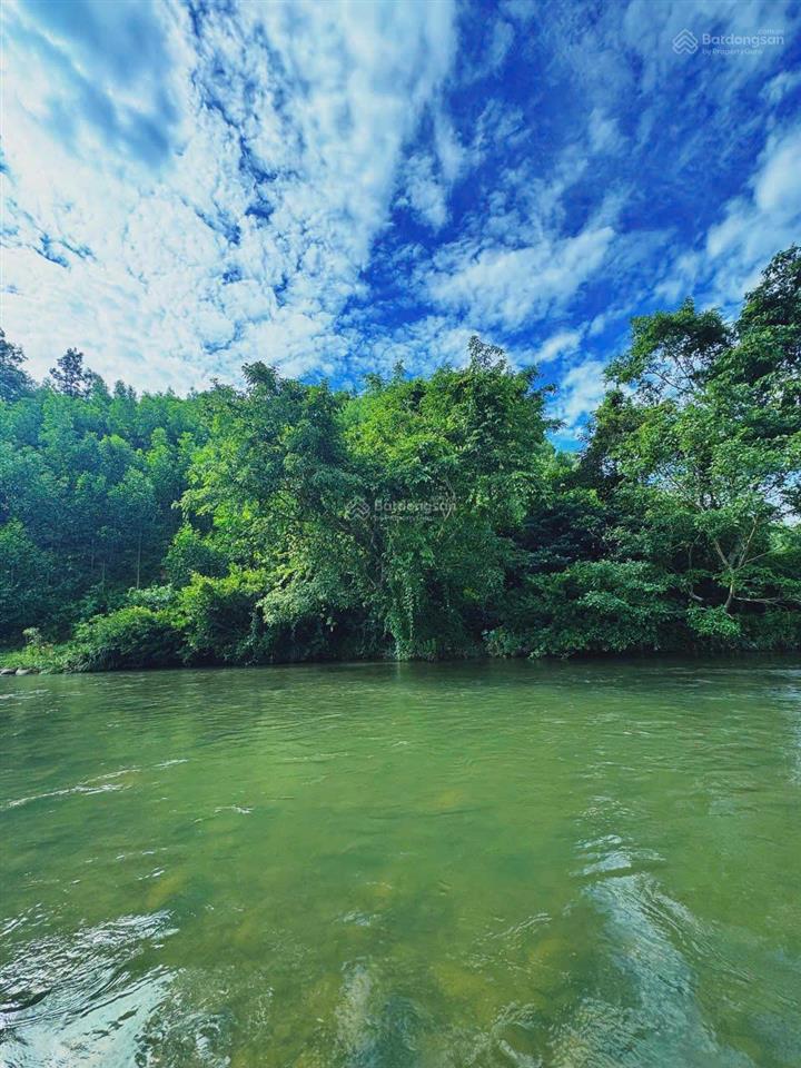 Cần bán gấp farmstay sinh thái
