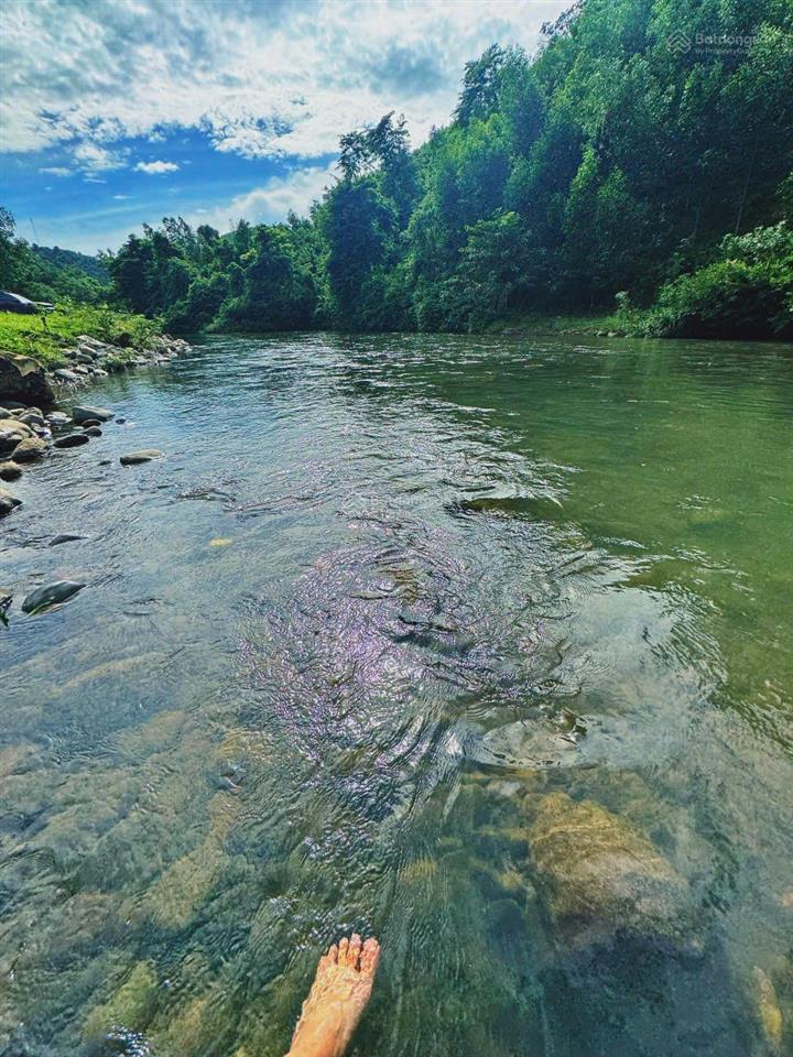 Cần bán gấp farmstay sinh thái