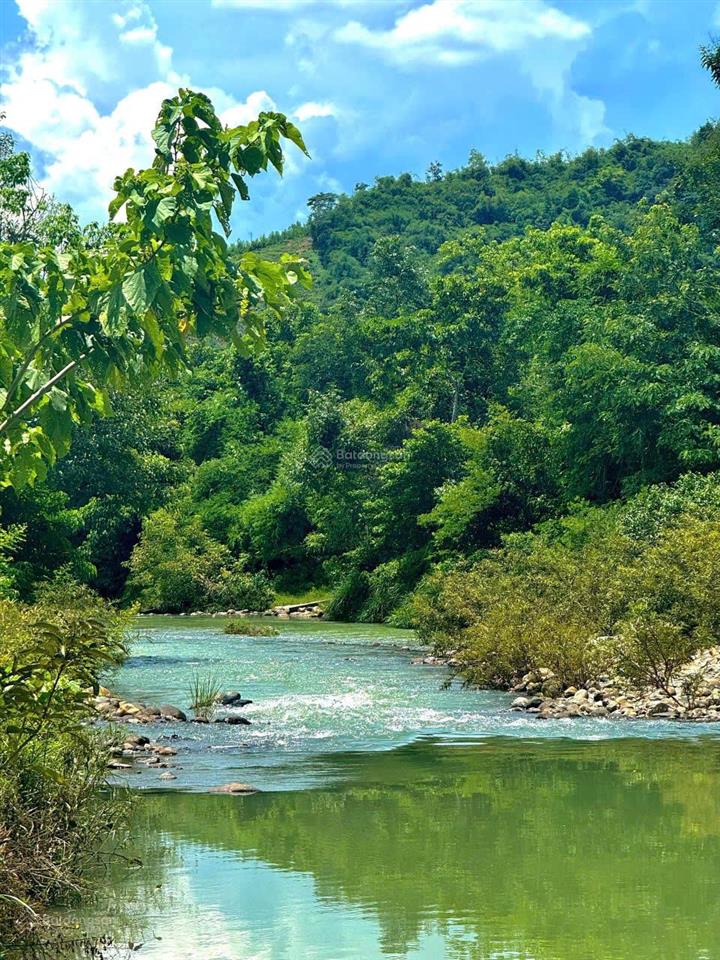 Cần bán gấp farmstay sinh thái
