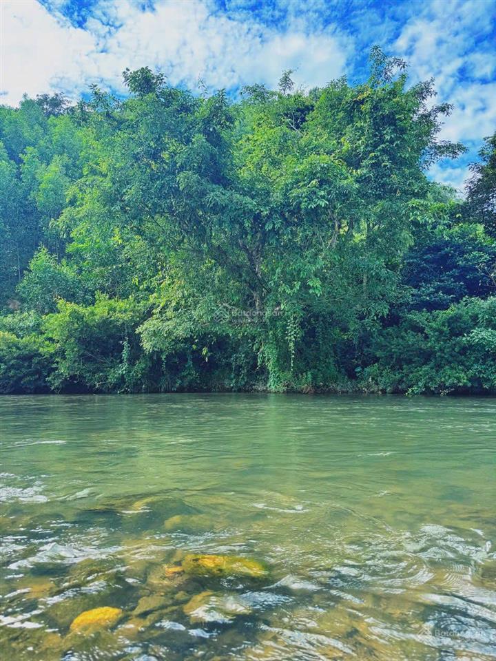 Cần bán gấp farmstay sinh thái