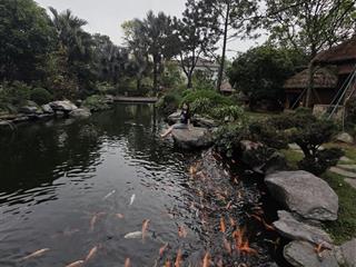 Cho thuê nr 8pn, 4wc, 15 triệu/th, 15000m2 tại số 15, tỉnh lộ 131, minh phú, sóc sơn, hà nội