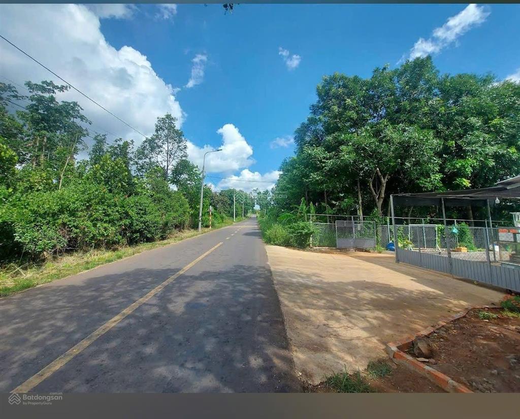 Cần bán 7231 m2 đất mt xuân định lâm san cẩm mỹ đồng nai , mặt tiền 11m nở hậu rất to, giá 11 tỷ tl