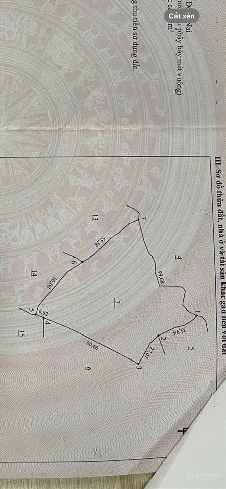 Cần bán 7231 m2 đất mt xuân định lâm san cẩm mỹ đồng nai , mặt tiền 11m nở hậu rất to, giá 11 tỷ tl