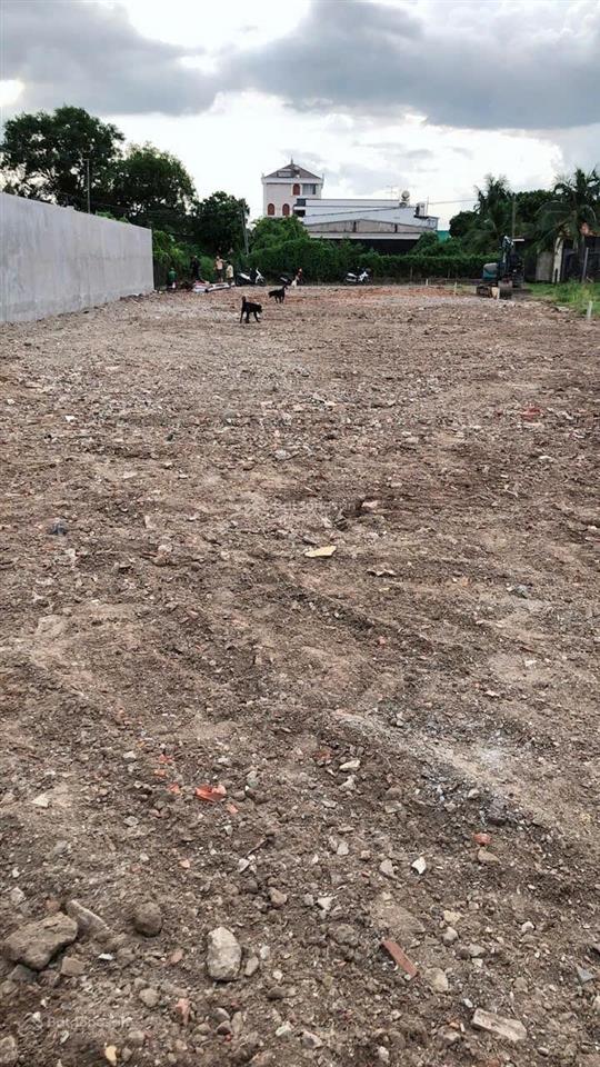 Đất 13,5*50 làm nhà vườn quá đẹp gần cmt8 chợ búng