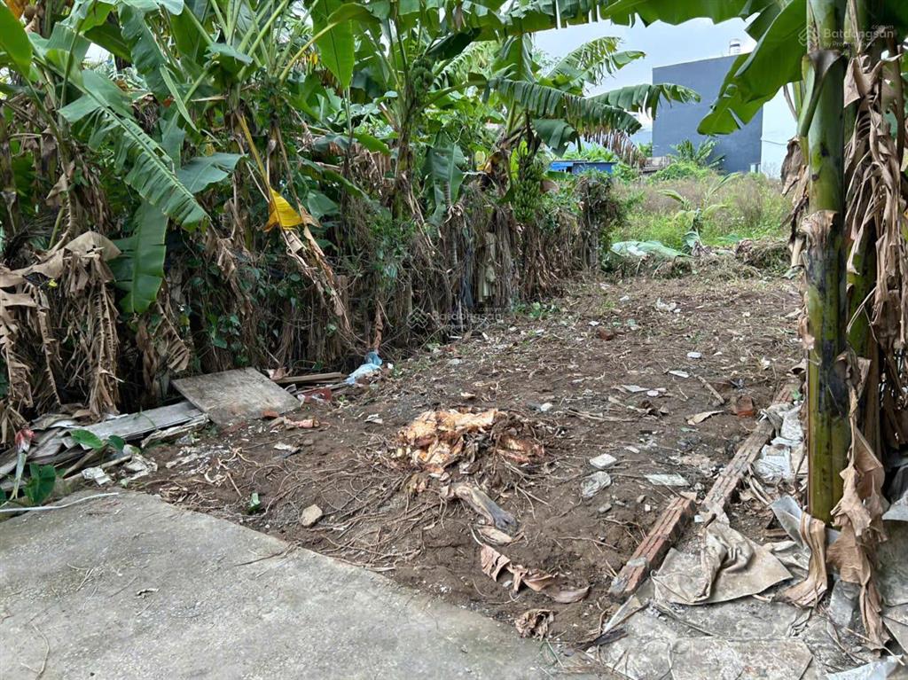 Bán gấp lô đất ngõ 62 cát khê, tràng cát, giá tham khảo tốt trong khu vực
