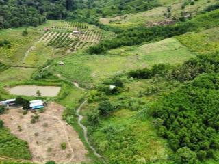 Bán đất gia lai 5100m2 sổ hồng riêng (xã sơ pai  huyện kbang) chỉ 510 triệu