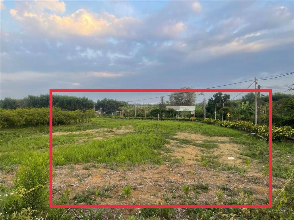 Bán đất 2600m2 mặt tiền kinh doanh đường dt 768 (x. trị an) chỉ 11 tỉ