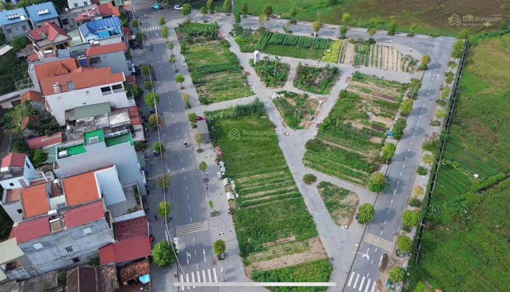 Chuyển nhượng lô góc đấu giá x2 thái bình,mai lâm,đông anh.