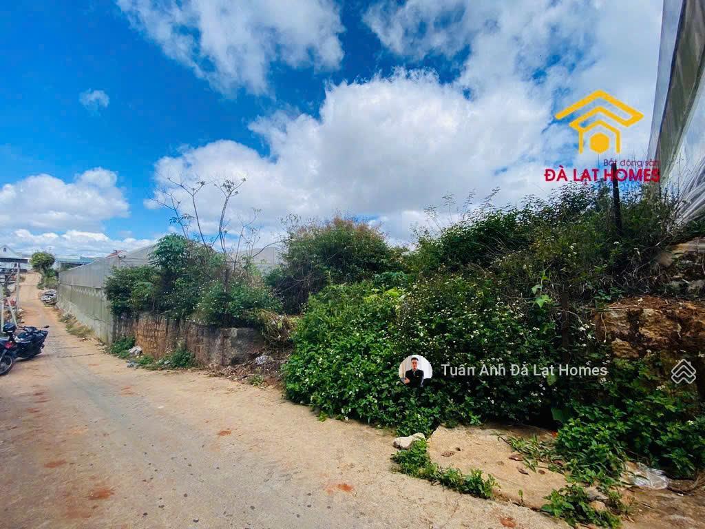 Bán đất xuân thọ đà lạt cách ql20 20m view thung lũng đẹp, thích hợp homestay nghỉ dưỡng