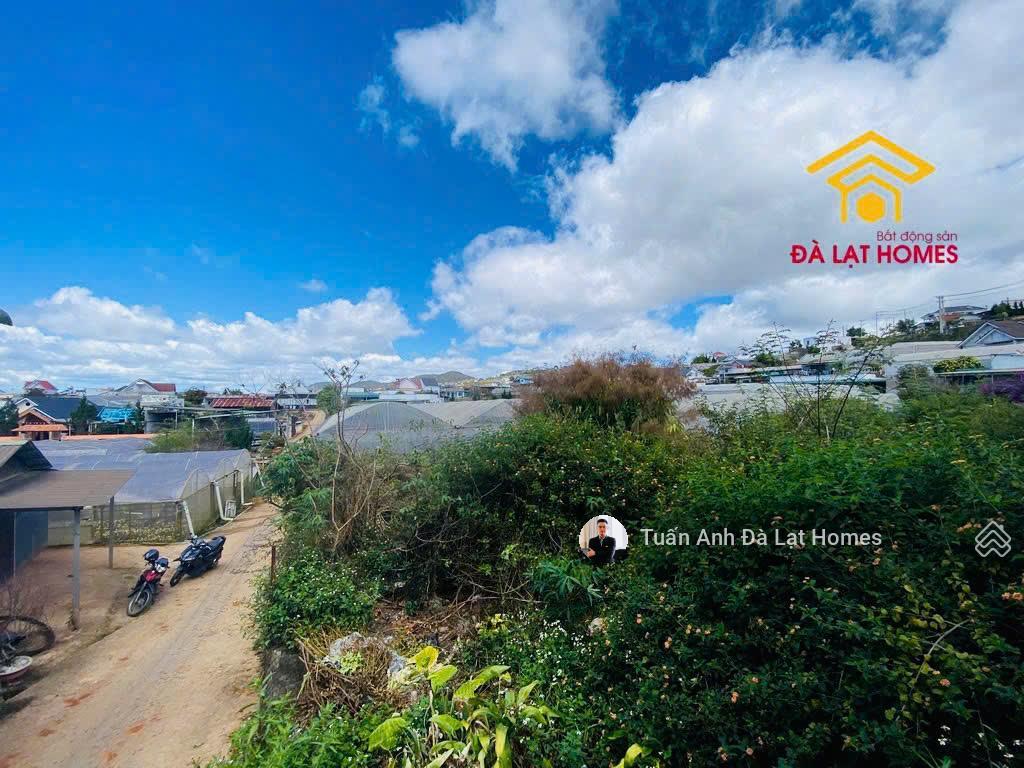 Bán đất xuân thọ đà lạt cách ql20 20m view thung lũng đẹp, thích hợp homestay nghỉ dưỡng