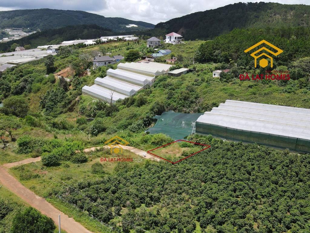 Chỉ 3,9 tỷ sở hữu 223m² full thổ cư gần mây lang thang đất đẹp nở hậu, view thoáng