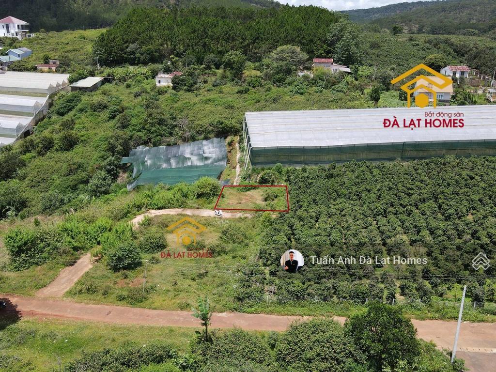 Chỉ 3,9 tỷ sở hữu 223m² full thổ cư gần mây lang thang đất đẹp nở hậu, view thoáng