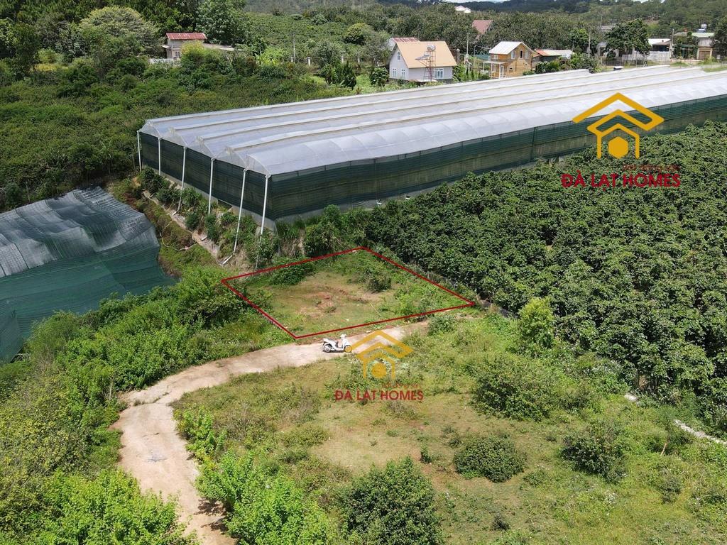 Chỉ 3,9 tỷ sở hữu 223m² full thổ cư gần mây lang thang đất đẹp nở hậu, view thoáng