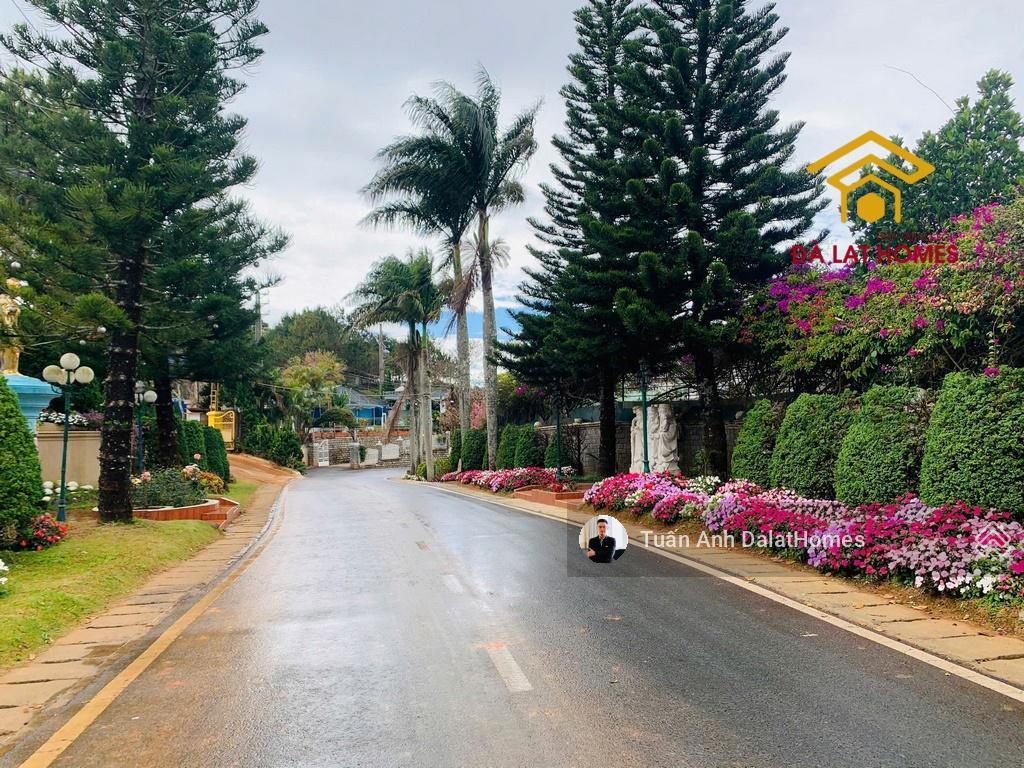 Tài sản hiếm tại đống đa đà lạt 2 mặt tiền quỹ đất gần 1000m2 view rừng thông toàn cảnh thành phố