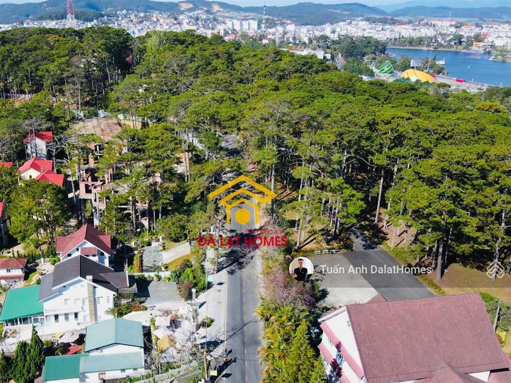 Bán biệt thự 2 mặt tiền khởi nghĩa bắc sơn đà lạt diện tích lớn 1063m², cung đường rợp tán thông