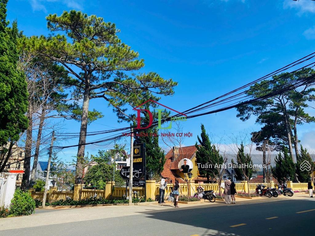 Bán biệt thự cô giang đà lạt gần hồ xuân hương view khu biệt thự cổ, cảnh quan đậm chất đà lạt