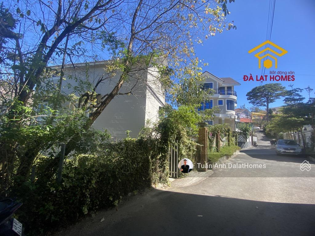 Bán đất 300m² quang trung đà lạt khu bụng rồng hiếm, full thổ cư, mặt tiền rộng 20m