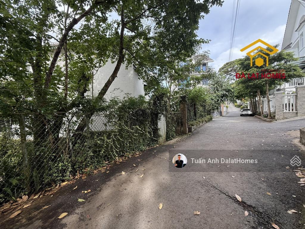 Bán đất 300m² quang trung đà lạt khu bụng rồng hiếm, full thổ cư, mặt tiền rộng 20m